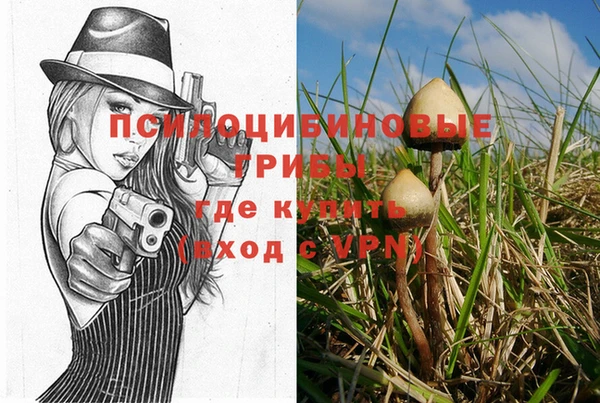 дурь Новозыбков