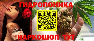 ECSTASY Заволжье
