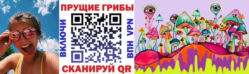Галлюциногенные грибы MAGIC MUSHROOMS  кракен вход  Чебоксары  наркошоп 
