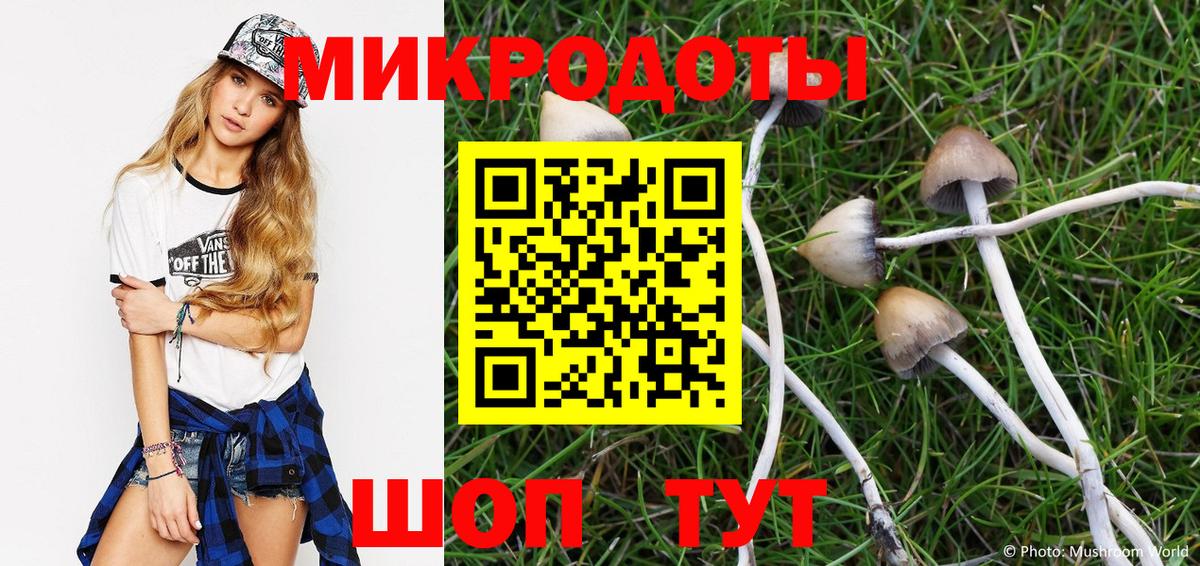 Галлюциногенные грибы мицелий  Вход с VPN  Галлюциногенные грибы Magic Shrooms  Чебоксары 