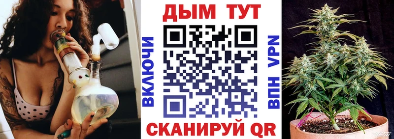 KRAKEN маркетплейс  купить наркотик  Чебоксары  Бошки марихуана индика 